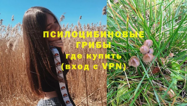мескалин Вяземский