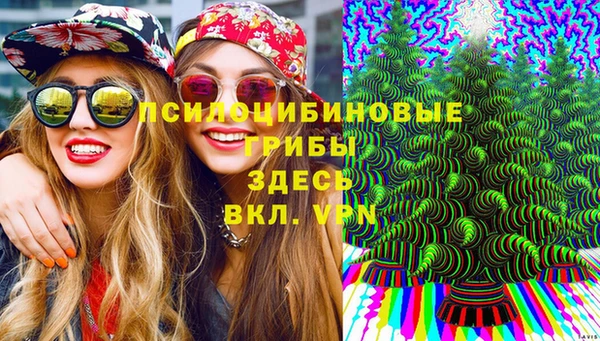 гашик Вязники
