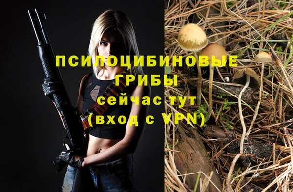 мескалин Вяземский