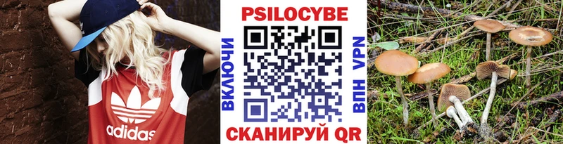 Галлюциногенные грибы MAGIC MUSHROOMS  Дальнереченск 